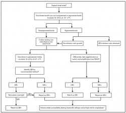 Prevention of Perinatal Group