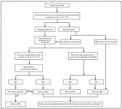 Prevention of Perinatal Group