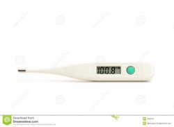 oral digital thermometer