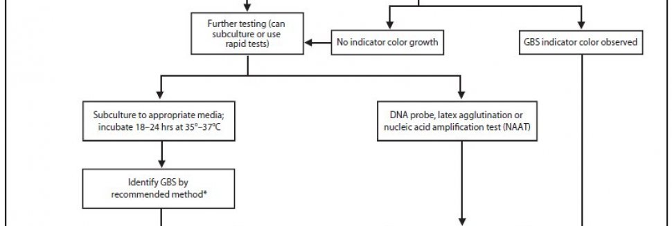 Nursing 3 Antibiotics Practice Test