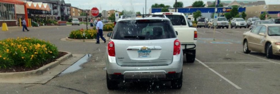 Nursing a Kitten Back to Health