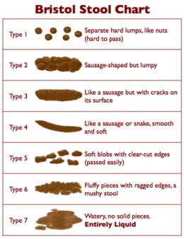 stool classification