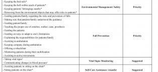 Nursing Care Plan for Risk for Falls