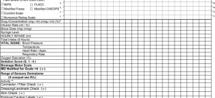 Nursing I and o Flow Sheet