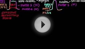 Antiarrhythmics