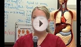 Nursing Career Awareness