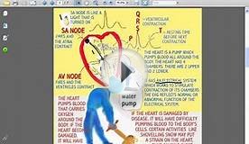 SESSIONS FOR NURSES 4 - Chest Pain, Assessment